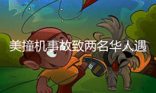 美撞机事故致两名华人遇难，悲痛事件引发关注与反思