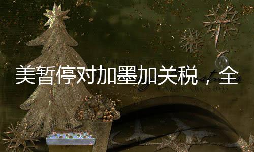 美暂停对加墨加关税，全球贸易动态与地缘政治影响分析