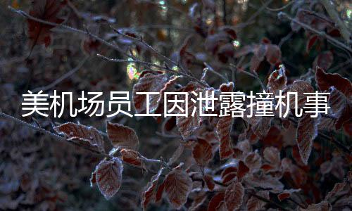 美机场员工因泄露撞机事故视频被捕，引发社会关注与讨论
