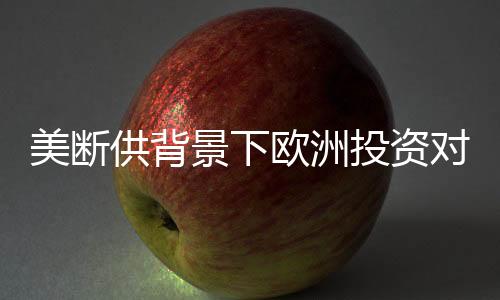 美断供背景下欧洲投资对乌克兰持久性的影响分析