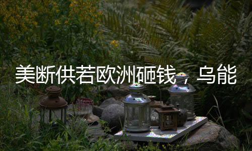 美断供若欧洲砸钱，乌能否坚持下去？