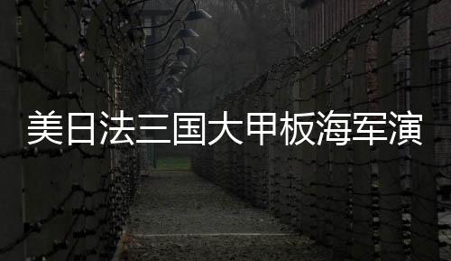 美日法三国大甲板海军演习圆满结束，三国海军力量展示与合作深化