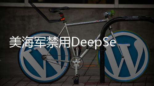 美海军禁用DeepSeek技术，引发技术安全关注与未来应用探讨