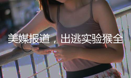 美媒报道，出逃实验猴全部成功捉回，回归实验室保障研究进程安全无忧