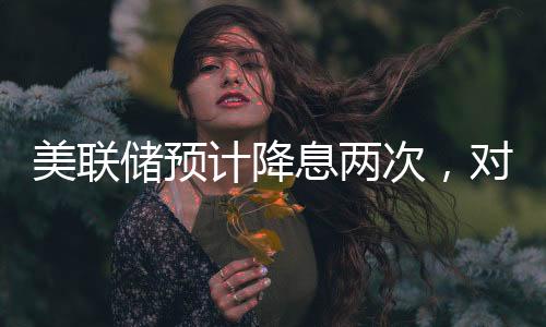 美联储预计降息两次，对经济前景的审慎评估与策略调整
