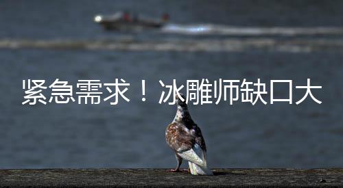 紧急需求！冰雕师缺口大，日薪高达3500元！