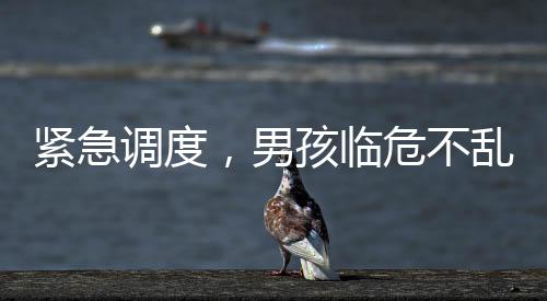 紧急调度，男孩临危不乱，在家为母亲接生，120调度员的远程指导显成效