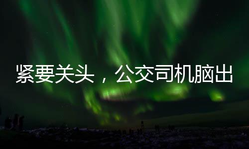 紧要关头，公交司机脑出血仍坚守职责——生命之手守护乘客安全