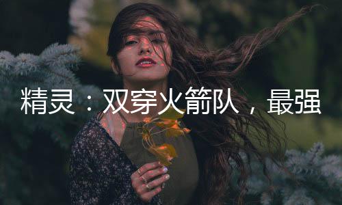 精灵：双穿火箭队，最强掌门人