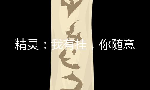 精灵：我有挂，你随意