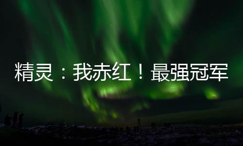 精灵：我赤红！最强冠军！