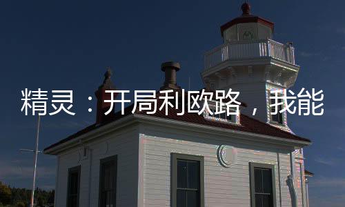 精灵：开局利欧路，我能升级词条