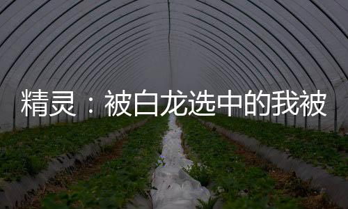 精灵：被白龙选中的我被迫当冠军