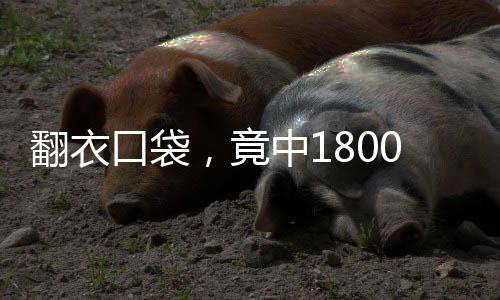 翻衣口袋，竟中1800万大奖！惊人幸运故事揭秘