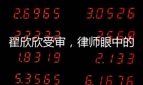 翟欣欣受审，律师眼中的她状态不佳