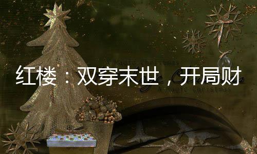 红楼：双穿末世，开局财可通神
