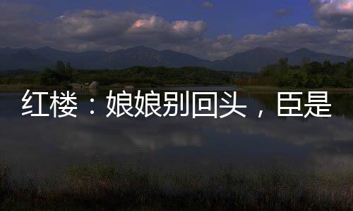 红楼：娘娘别回头，臣是陛下