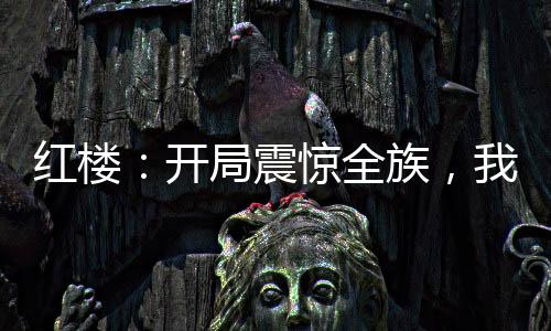 红楼：开局震惊全族，我悟性逆天