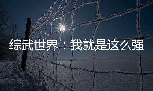 综武世界：我就是这么强大