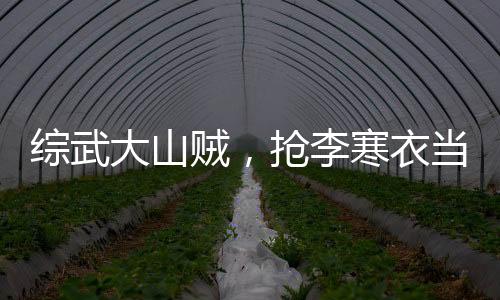 综武大山贼，抢李寒衣当压寨夫人
