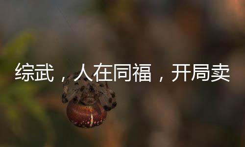 综武，人在同福，开局卖琴为生
