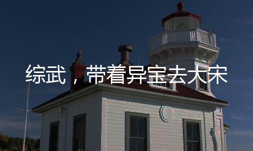 综武，带着异宝去大宋