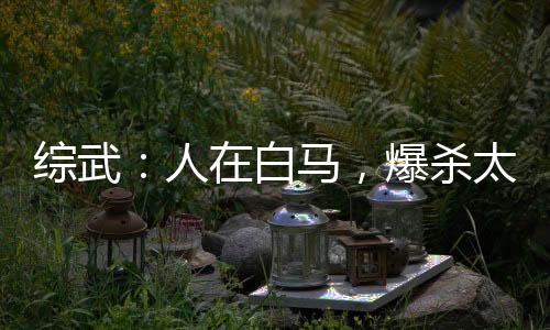 综武：人在白马，爆杀太安帝！