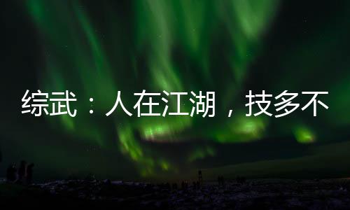 综武：人在江湖，技多不压身呀！