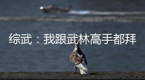 综武：我跟武林高手都拜了把子