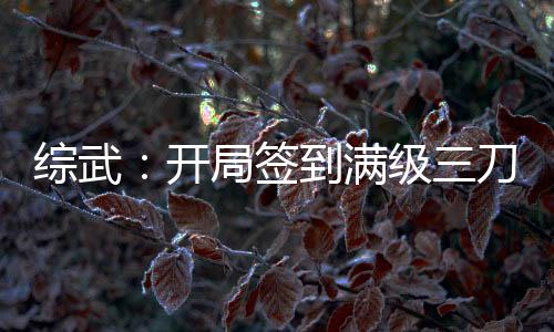 综武：开局签到满级三刀流