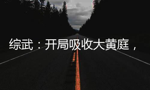 综武：开局吸收大黄庭，剑气长城