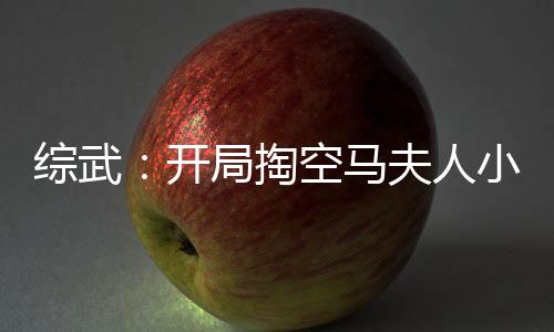 综武：开局掏空马夫人小金库