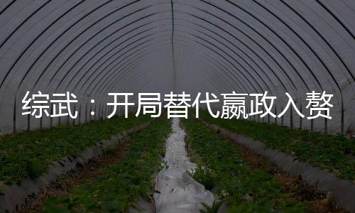 综武：开局替代嬴政入赘徐谓熊