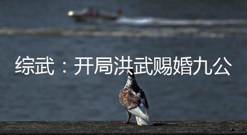 综武：开局洪武赐婚九公主