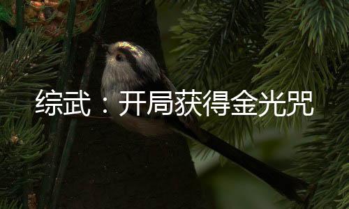 综武：开局获得金光咒