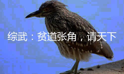 综武：贫道张角，请天下皇朝赴死