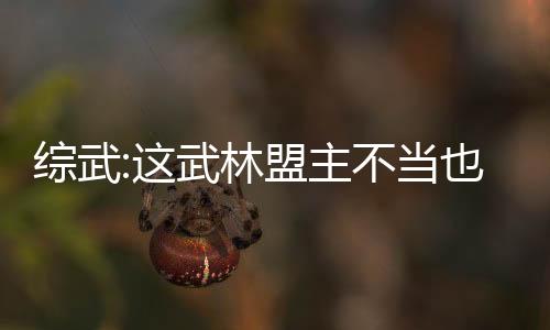 综武:这武林盟主不当也罢！