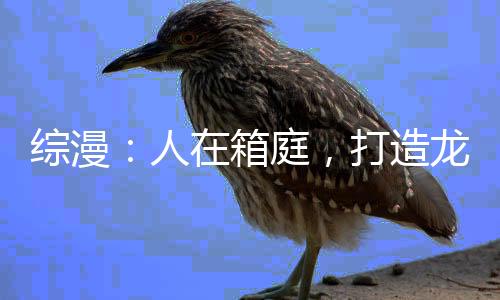 综漫：人在箱庭，打造龙族共同体