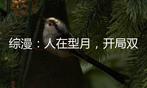 综漫：人在型月，开局双穿木叶