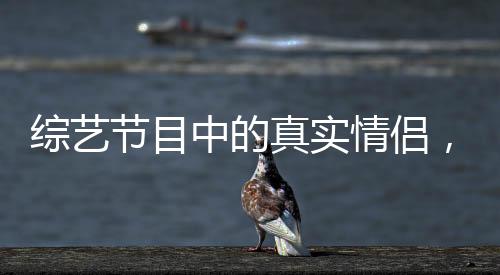 综艺节目中的真实情侣，公费恋爱的绽放