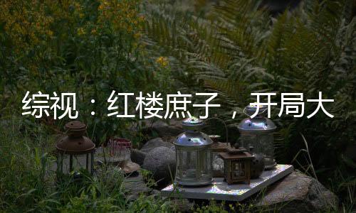 综视：红楼庶子，开局大雪龙骑