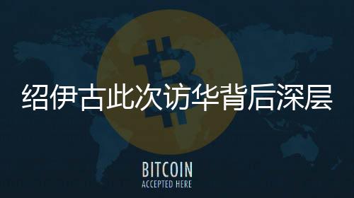 绍伊古此次访华背后深层次分析，中俄合作新动向