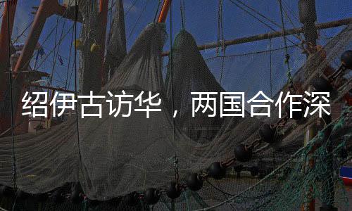 绍伊古访华，两国合作深化，多元议题备受关注