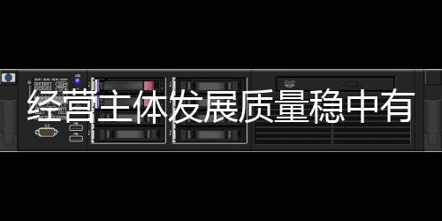 经营主体发展质量稳中有升