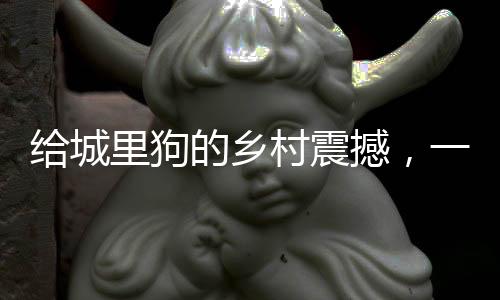 给城里狗的乡村震撼，一场别开生面的自然探索之旅