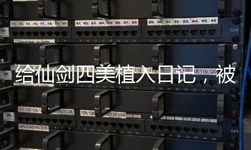 给仙剑四美植入日记，被玩坏了