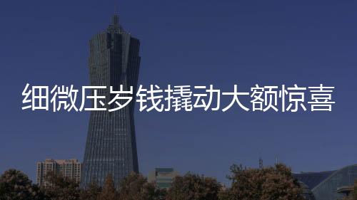 细微压岁钱撬动大额惊喜，九百元带来的十万感官盛宴