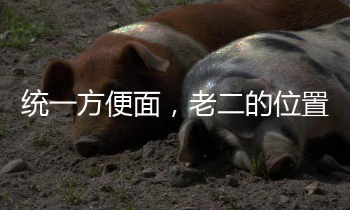 统一方便面，老二的位置岌岌可危