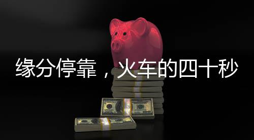 缘分停靠，火车的四十秒遇见记