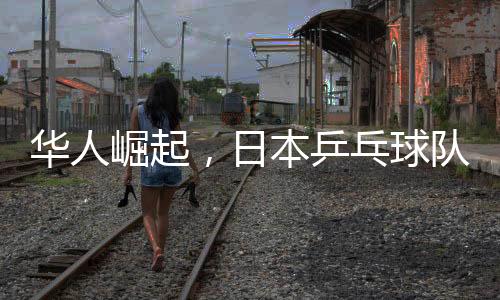 华人崛起，日本乒乓球队新任女队主教练揭晓，46岁华人肩负重任
